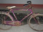 Bicycle for sell