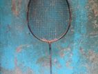 Carvonex Badminton