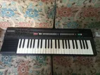 Casio Keyboard Sell