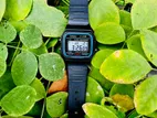 Casio Lightweight Watch