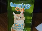 cat bearing shampoo