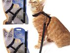 Cat Harness belt, Biral er belt