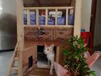 Cat House