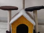 cat house sell Hobe