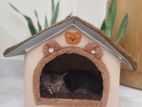 Cat/ Kitten/Puppy House ( বিড়ালের ঘর)