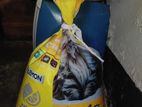 Cat Litter and box