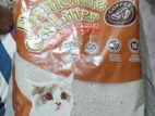 Cat Litter