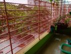 Net for sale