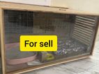 Cat Room -