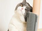 Cat Self Grooming Brush