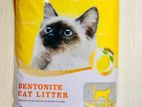 🐾 CAT TIME LITTER - 10L