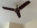 Ceiling Fan (36” Small Fan) for sell
