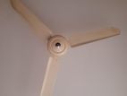 Ceiling Fan 56"