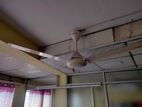 Ceiling Fan 56 Inch (Only 6 Months Used)