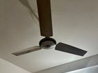 Ceiling Fan 56 Inches