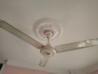 Ceiling Fan