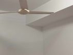 Ceiling Fan