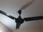 Ceiling fan for sell