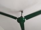 Ceiling Fan for sell