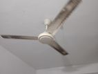Ceiling Fan