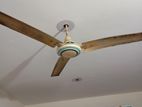 Fan for sell