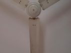 Ceiling fan