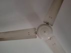 ceiling fan