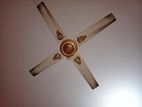 Ceiling fan