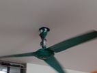 Ceiling fan