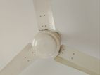 Ceiling Fan