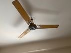 Ceiling Fan For Sell.