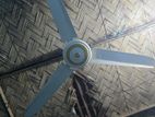 Ceiling Fan