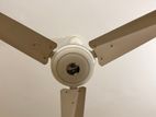 Ceiling Fan