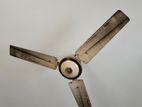 CEILING FAN