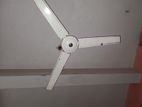 ceiling fan For Sell.