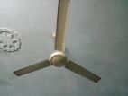 Ceiling Fan