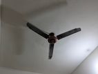 Ceiling fan for sell