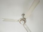 Ceiling Fan for Sell