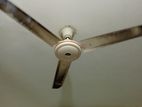 Ceiling Fan ( Galaxy)