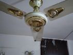 ceiling fan ( kashmiri)