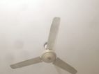 Ceiling fan (Kasmir) for sell.