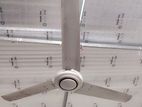 Ceiling Fan sell