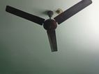 ceiling fan sell.