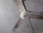 Ceiling fan sell .... Sare mass use koresi just