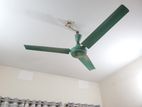 Ceiling Fan (সিলিং ফ্যান)