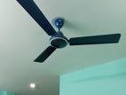 Ceiling Fan Walton 56"