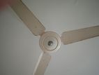 Ceiling Fan For Sale