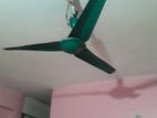 celing fan