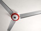 Celing Fan for Sale