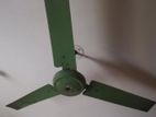 Fan for sell